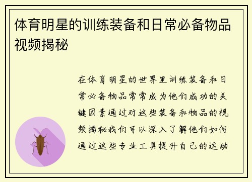 体育明星的训练装备和日常必备物品视频揭秘