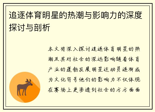 追逐体育明星的热潮与影响力的深度探讨与剖析