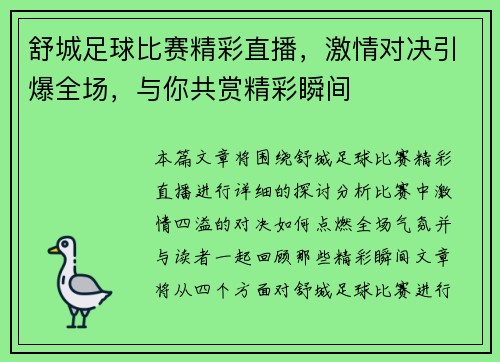 舒城足球比赛精彩直播，激情对决引爆全场，与你共赏精彩瞬间